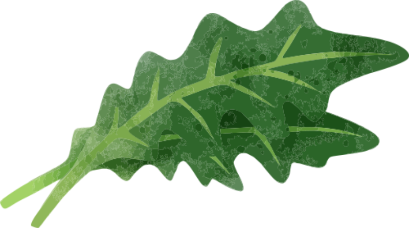 ほうれん草